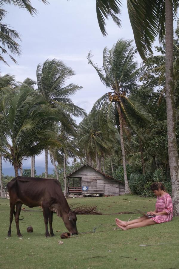 Cabana Surf And Stay Biha ภายนอก รูปภาพ