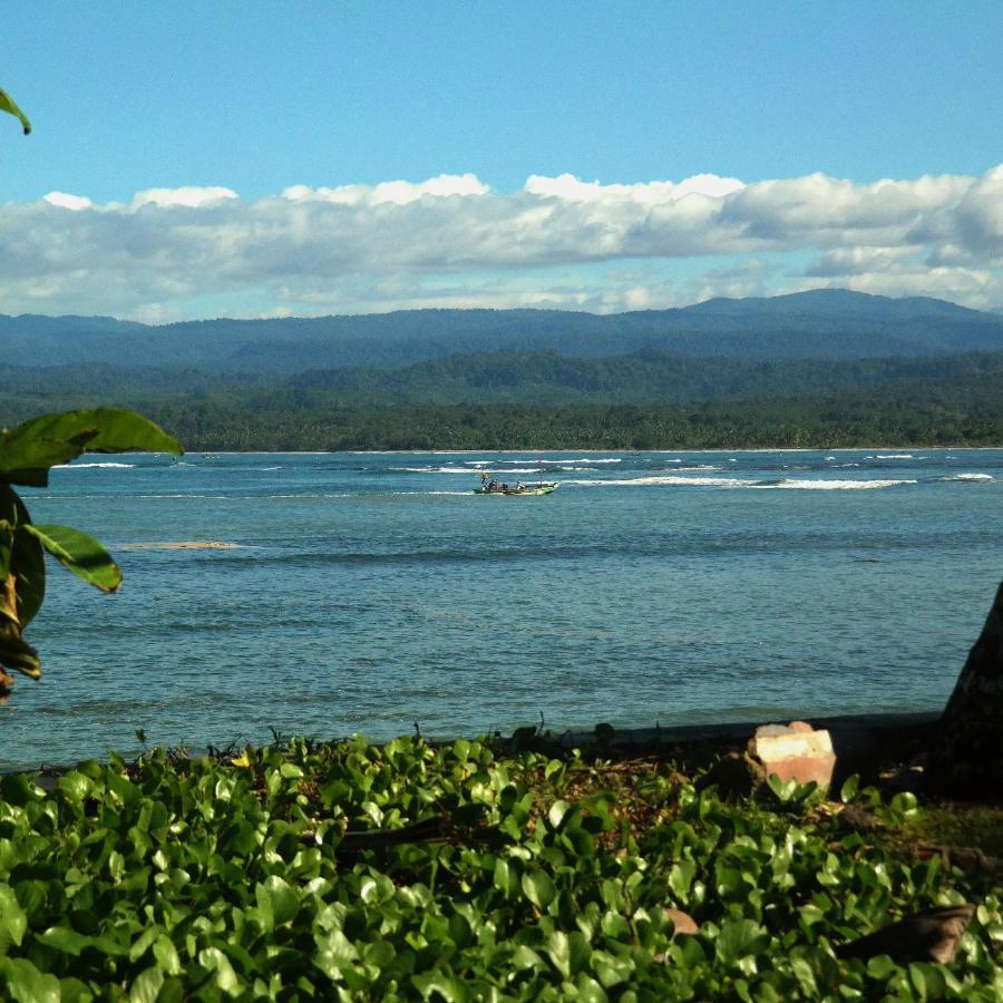 Cabana Surf And Stay Biha ภายนอก รูปภาพ